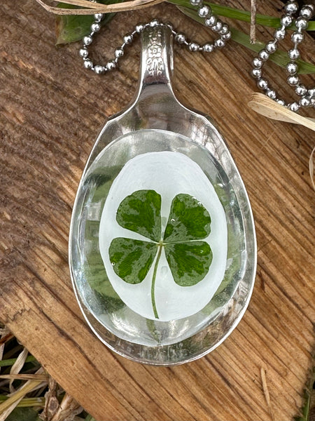 Sugar Shell 4 Leaf Clover