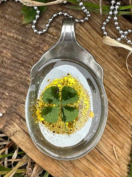 Sugar Shell 4 Leaf Clover