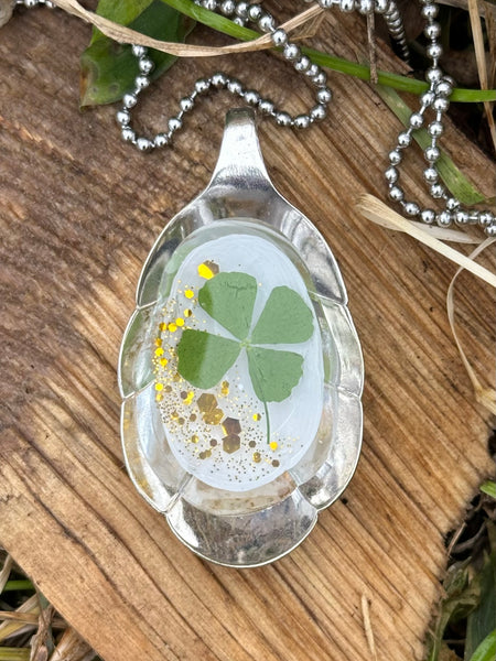 Sugar Shell 4 Leaf Clover