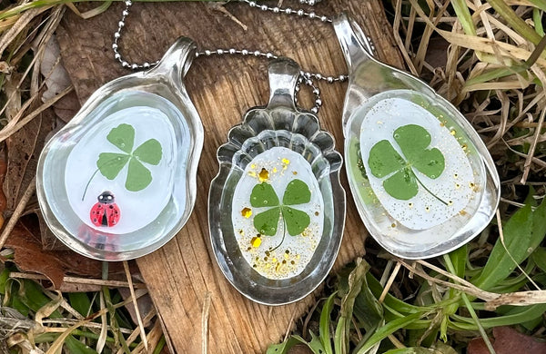 Sugar Shell 4 Leaf Clover