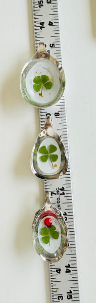 Sugar Shell 4 Leaf Clover