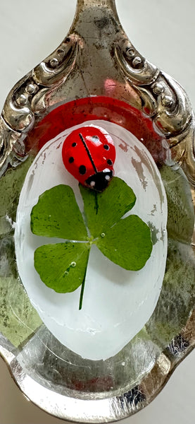 Sugar Shell 4 Leaf Clover