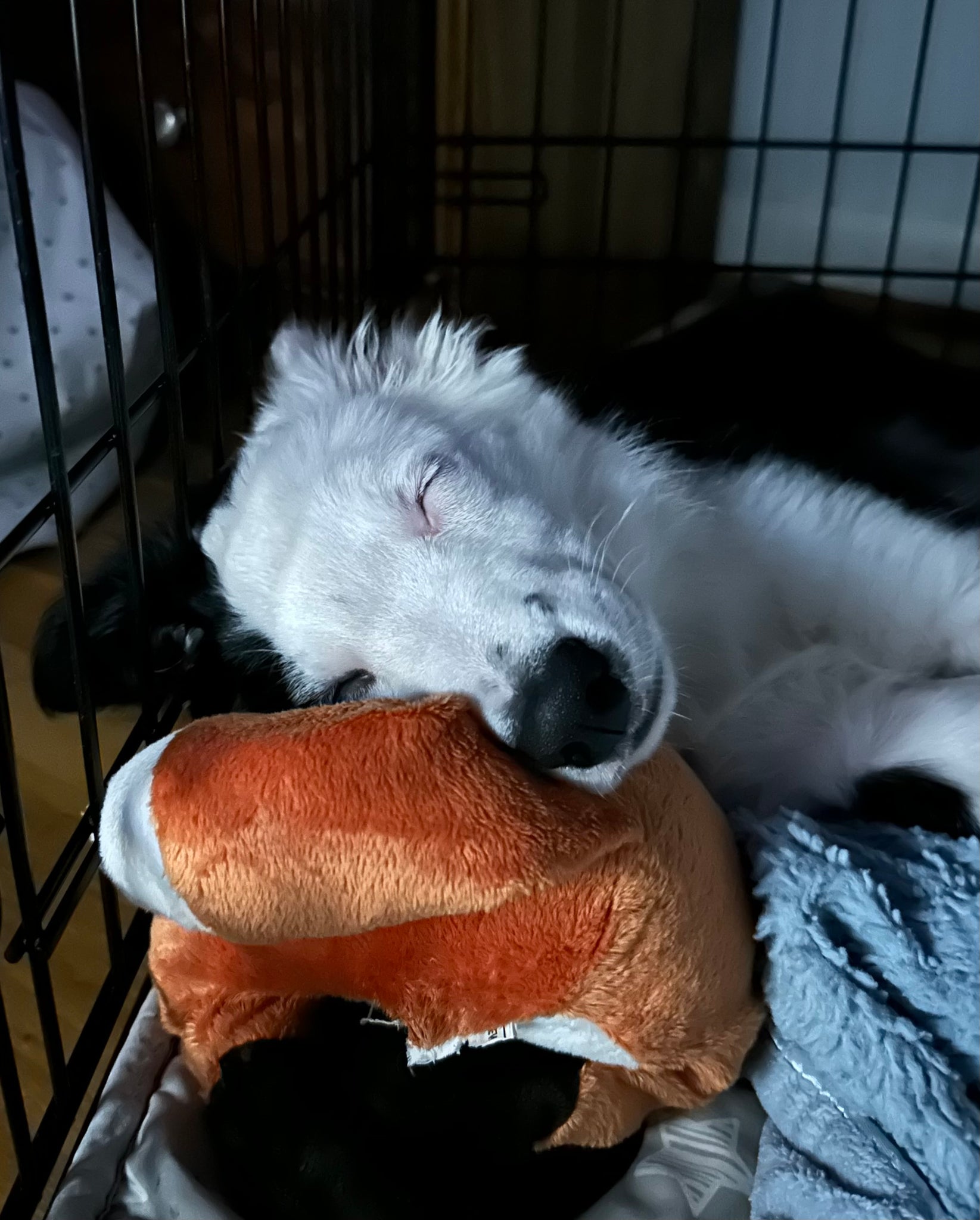 Custom for Kathy C. Kathy C. only:)