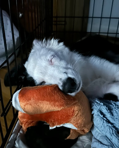 Custom for Kathy C. Kathy C. only:)